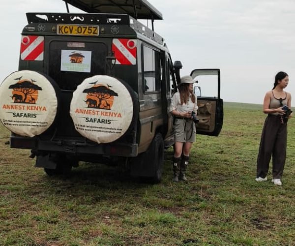 Kenya safari vehicles ANNEST KENYA SAFARIS