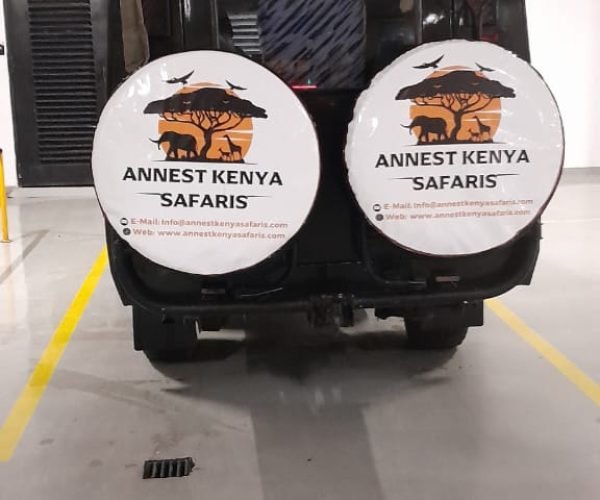 4x4 Safari Jeeps Kenya ANNEST KENYA SAFARIS