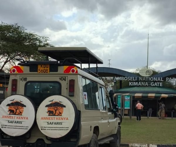 WhatsApp Image 2025-11-01 at 19.19.21 (1)