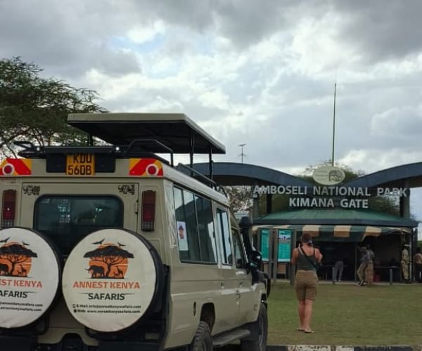 WhatsApp Image 2025-11-01 at 19.19.21 (2)