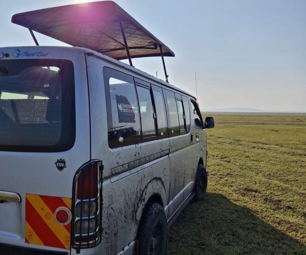 Safari Vans Kenya ANNEST KENYA SAFARIS