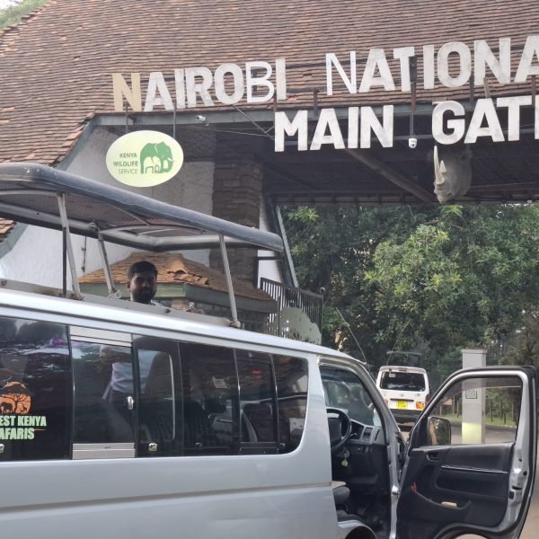 Safari Vans Kenya ANNEST KENYA SAFARIS