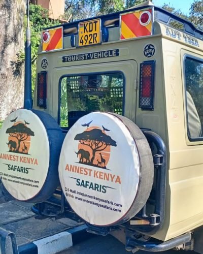 WhatsApp Image 2025-11-07 at 09.27.16 (3)