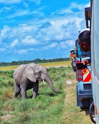 ANNEST KENYA SAFARIS