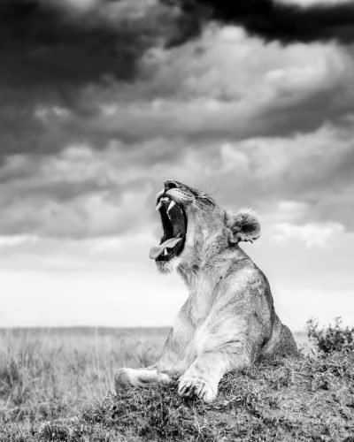 WhatsApp Image 2026-02-18 at 14.57.34