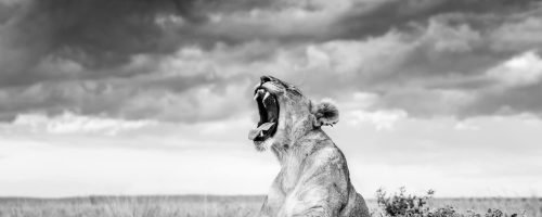 WhatsApp Image 2026-02-18 at 14.57.34