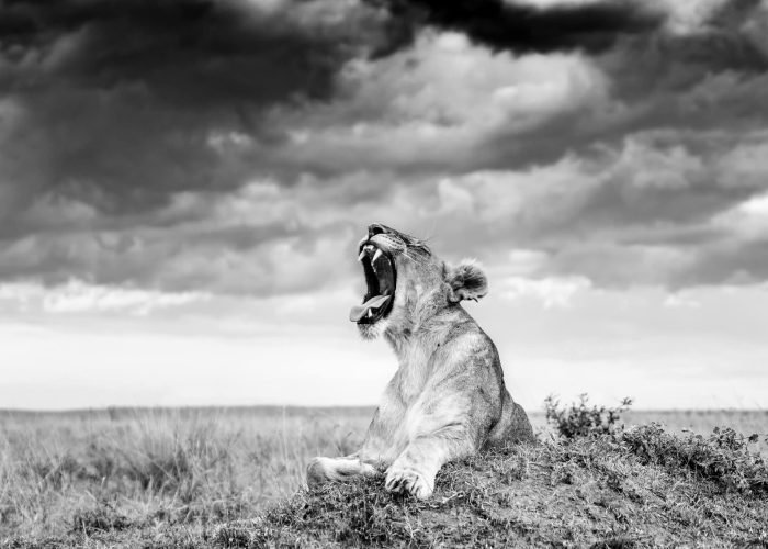 WhatsApp Image 2026-02-18 at 14.57.34