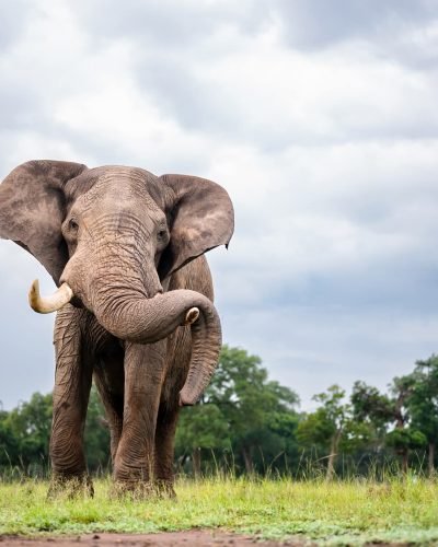 WhatsApp Image 2026-02-18 at 14.57.36 (1)