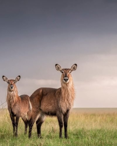 WhatsApp Image 2026-02-18 at 14.57.39