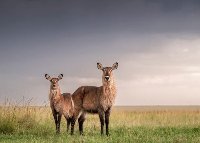 WhatsApp Image 2026-02-18 at 14.57.39 WhatsApp Image 2026-02-18 at 14.57.39