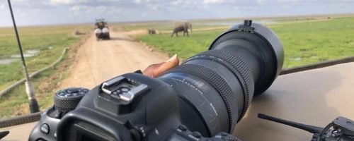 africa-kenya-safaris (5)