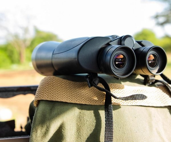 Kenya safari vehicles ANNEST KENYA SAFARIS