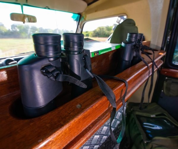 Kenya safari packages