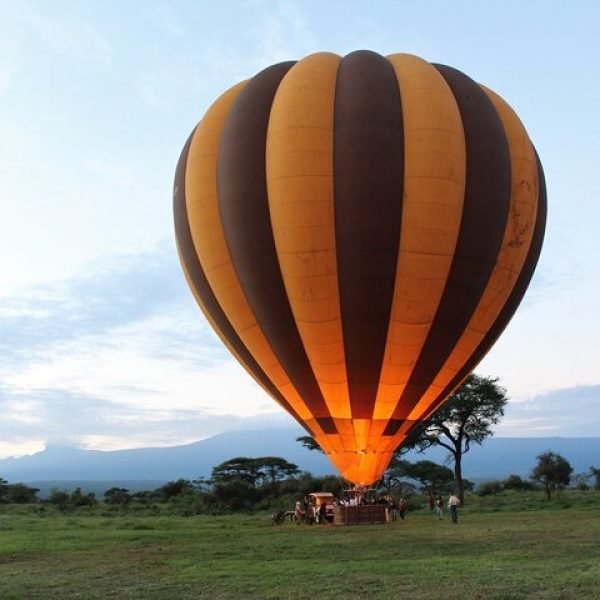 tanzania safari tours