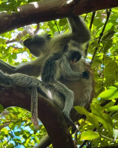 Zanzibar beach vacation