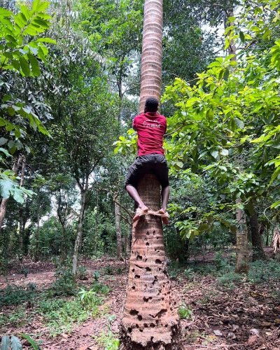 Zanzibar Spice Island Tour