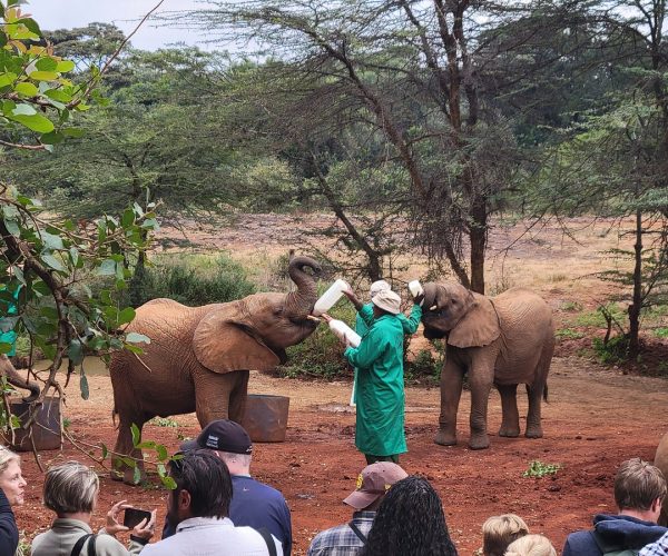 Nairobi Excursions