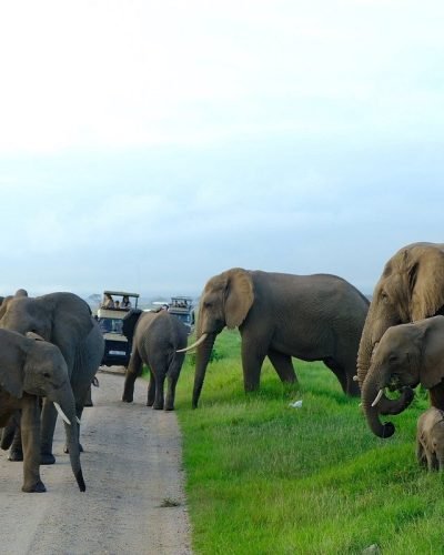 caption - 2025-10-19T172610.590