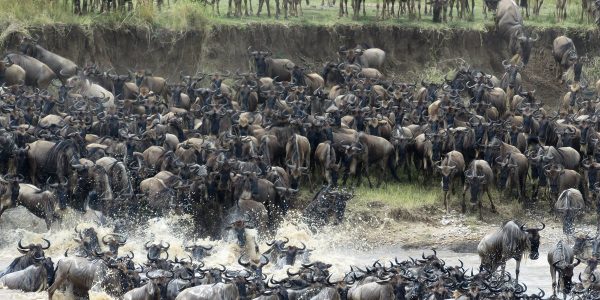 Masai Mara National reserve