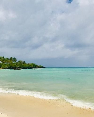 Kizimkazi Dolphin Tour Zanzibar