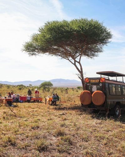 Tsavo safaris tours