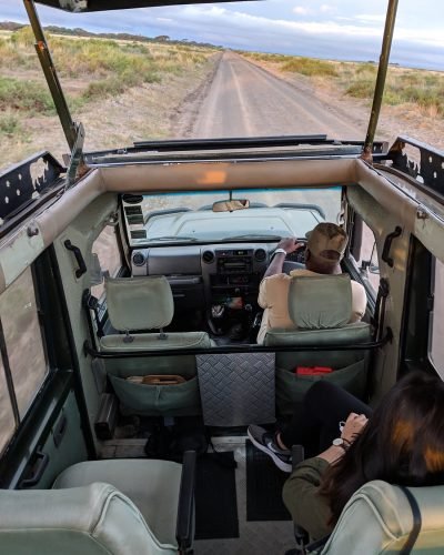 Kenya safaris from Nairobi