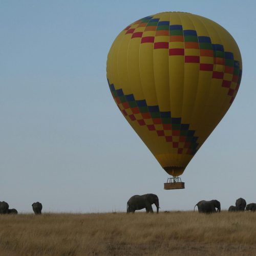 KENYA -Tanzania SAFARI