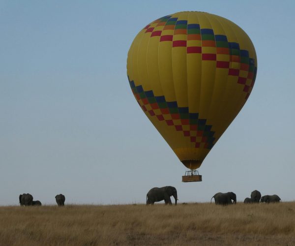 KENYA -Tanzania SAFARI