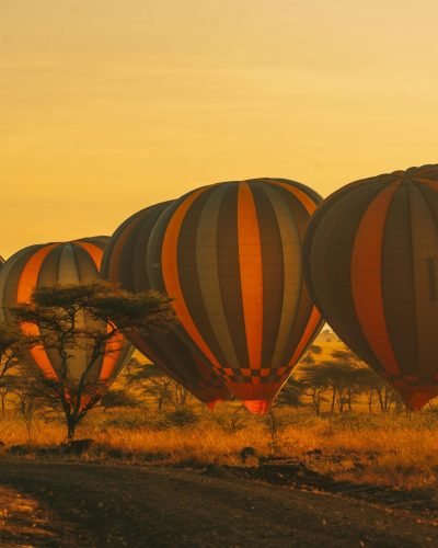 Kenya Safari ANNEST KENYA SAFARIS