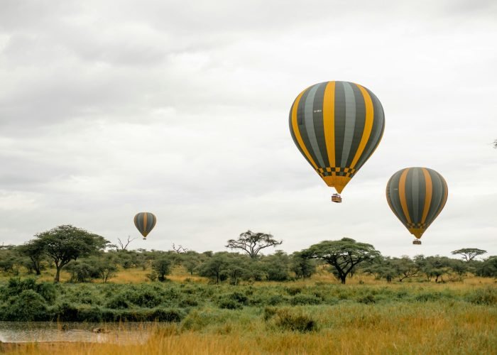 pexels-tanzania-wild-sky-986912744-20179673