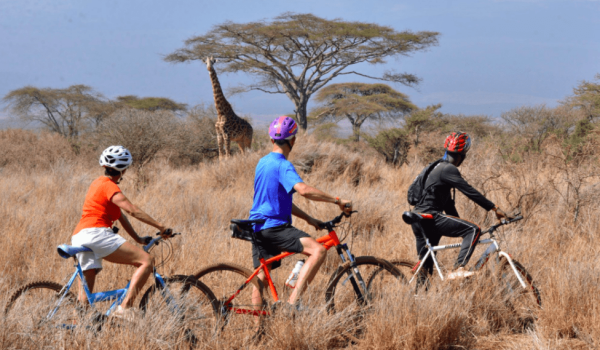 satao-elerai-–-mountain-biking-safari.png