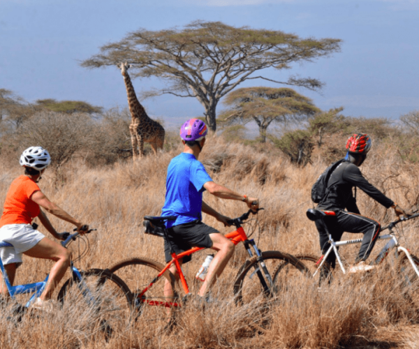 satao-elerai-–-mountain-biking-safari.png