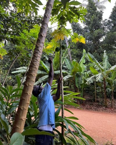 Zanzibar Spice Island Tour