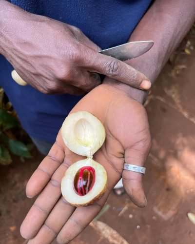 spice-tour-stone-town (2)