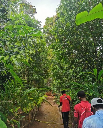 Zanzibar Spice Island Tour